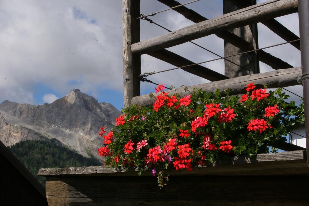 Albergo Diffuso Sauris In Sauris Di Sopra المظهر الخارجي الصورة